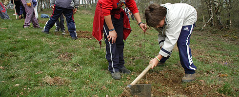 Escolares de Abadiño plantando árboles en Urkiola